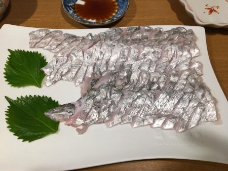 太刀魚いい感じ